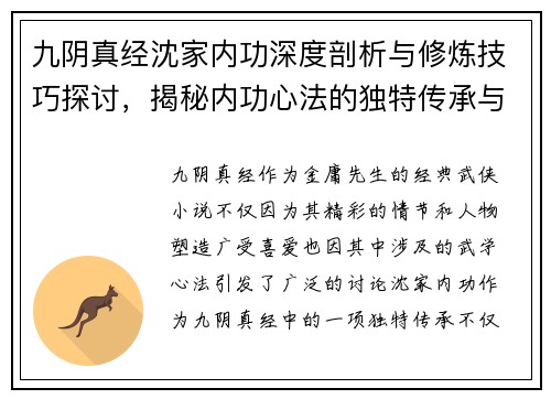 九阴真经沈家内功深度剖析与修炼技巧探讨，揭秘内功心法的独特传承与发展